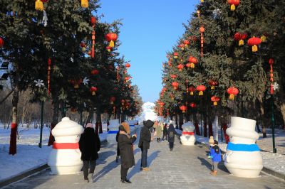 哈尔滨太阳岛雪雕面面观