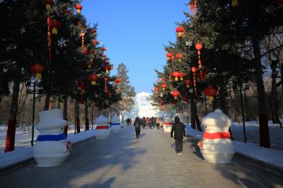 哈尔滨太阳岛雪雕面面观