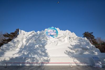 哈尔滨太阳岛雪雕面面观