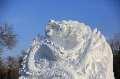 哈尔滨太阳岛冬景