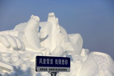 哈尔滨太阳岛冬景