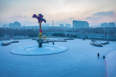 雪后的丁香公园1