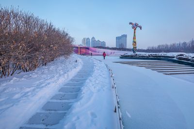 雪后的丁香公园1
