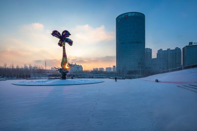 雪后的丁香公园1
