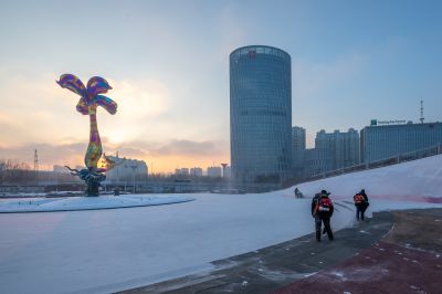 雪后的丁香公园1
