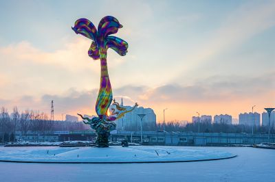 雪后的丁香公园1