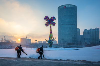 雪后的丁香公园1