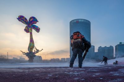 雪后的丁香公园1