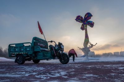 雪后的丁香公园1