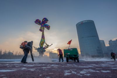 雪后的丁香公园1