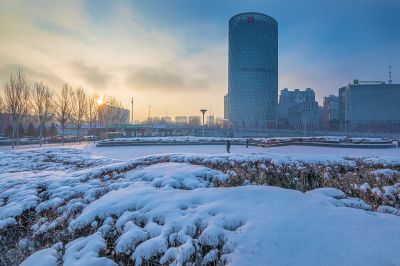 雪后的丁香公园1