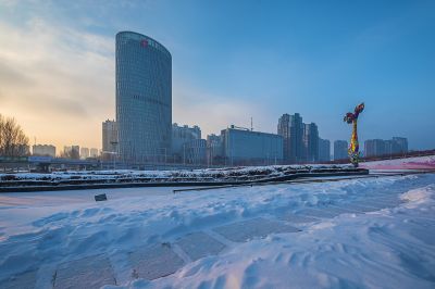 雪后的丁香公园1