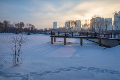 雪后的丁香公园2