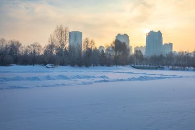 雪后的丁香公园2