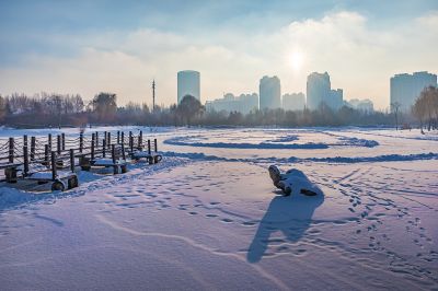 雪后的丁香公园2