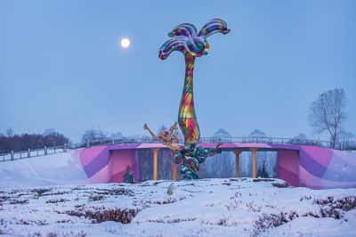 雪后的丁香公园2