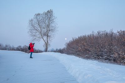 雪后的丁香公园2
