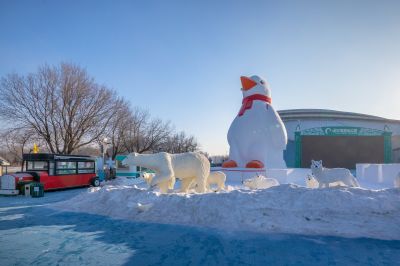 雪博会开园前日园内雪景抢先看3