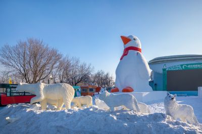 雪博会开园前日园内雪景抢先看3