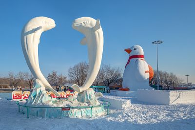 雪博会开园前日园内雪景抢先看3