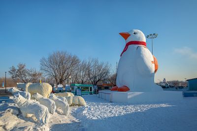 雪博会开园前日园内雪景抢先看3