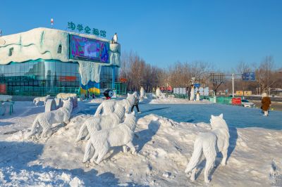 雪博会开园前日园内雪景抢先看3
