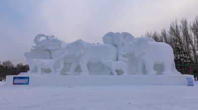 太阳岛雪博会
