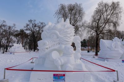太阳岛雪博会