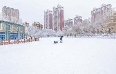 群力雾凇美景