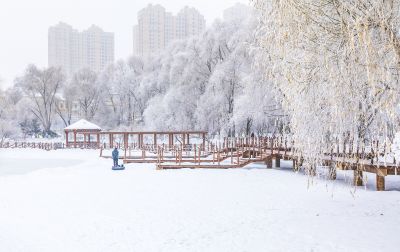 群力雾凇美景