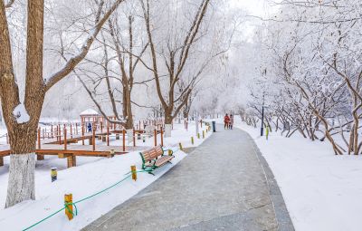 群力雾凇美景