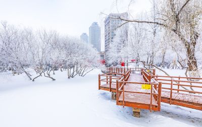 群力雾凇美景