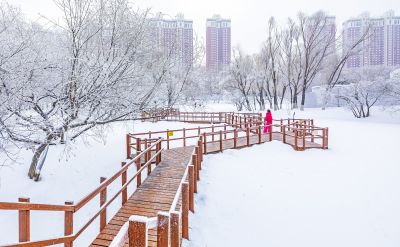 群力雾凇美景