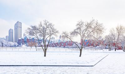 群力雾凇美景
