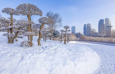 群力雾凇美景