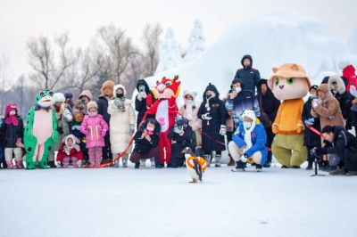 太阳岛雪博会园区掠影3