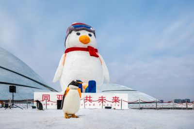 大剧院广场逃学企鹅雪雕落成仪式