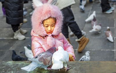 中央大街游客火爆