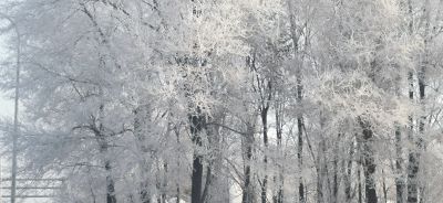 雾凇