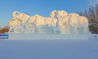 太阳岛雪博会