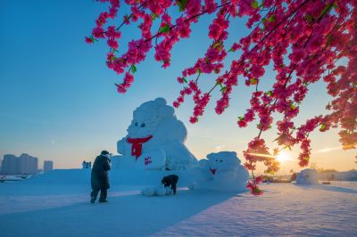 冬日太阳岛江畔掠影