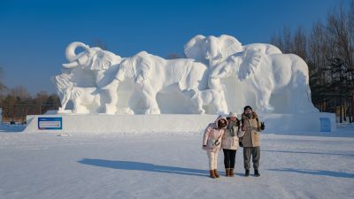 太阳岛雪博会