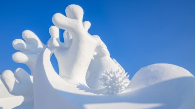 太阳岛雪博会