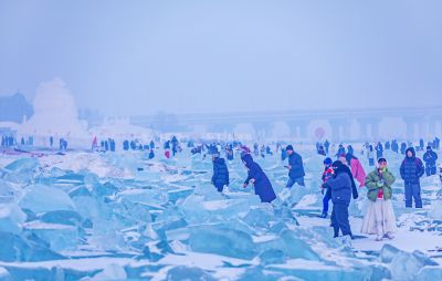 哈尔滨钻石海