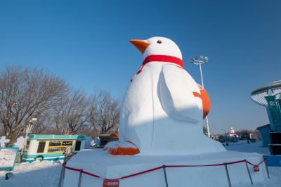 哈尔滨极地公园广场
