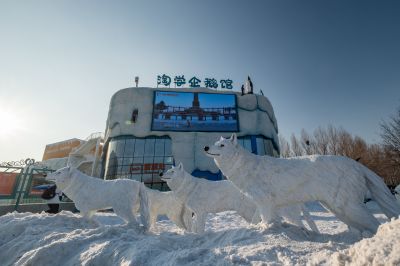 哈尔滨极地公园广场