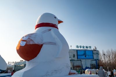 哈尔滨极地公园广场