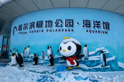 哈尔滨极地公园广场
