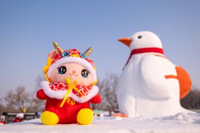 哈尔滨极地公园广场
