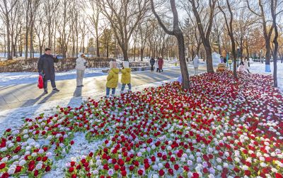 即将闭园的太阳岛雪博会